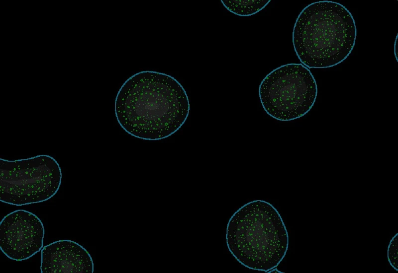 Dynamic Content Image